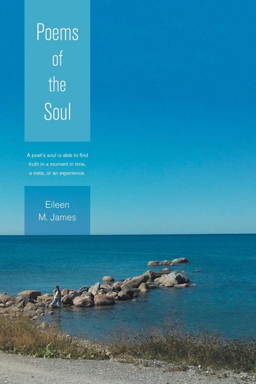 Cover of the book Poems of the Soul by Eileen M. James, FriesenPress