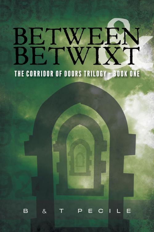 Cover of the book Between & Betwixt by Bruno Pecile, FriesenPress