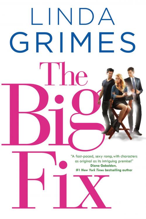 Cover of the book The Big Fix by Linda Grimes, Tom Doherty Associates