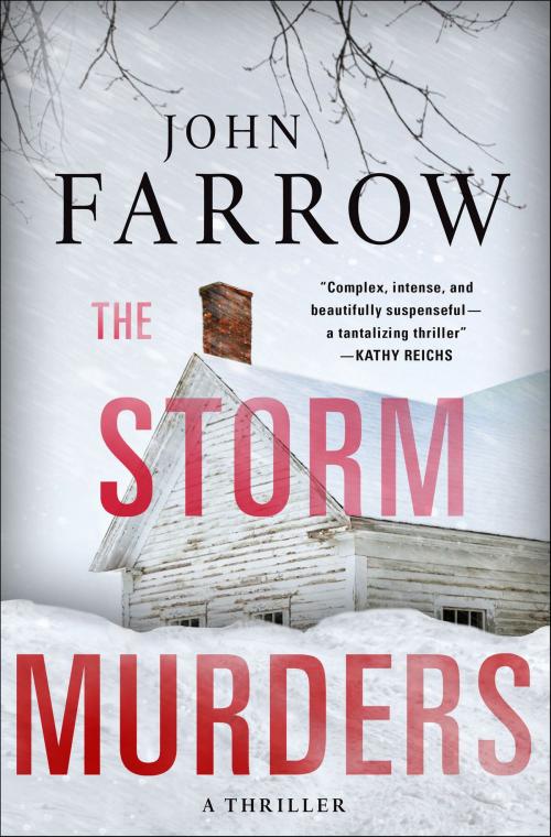 Cover of the book The Storm Murders by John Farrow, St. Martin's Press