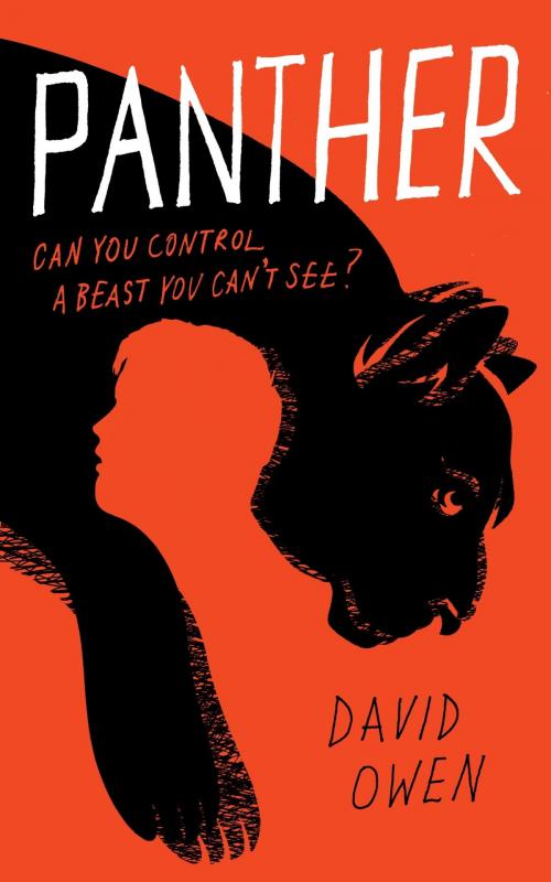 Cover of the book Panther by David Owen, Little, Brown Book Group