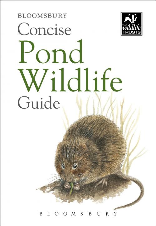 Cover of the book Concise Pond Wildlife Guide by Bloomsbury, Bloomsbury Publishing
