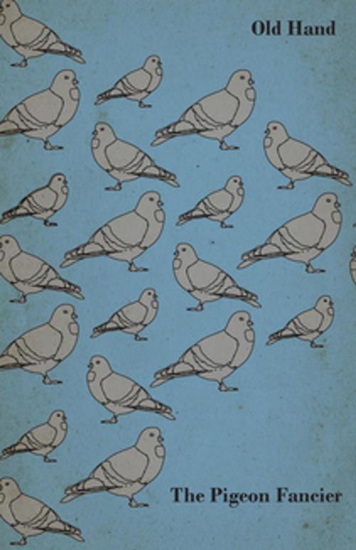 Cover of the book The Pigeon Fancier by Old Hand, Read Books Ltd.