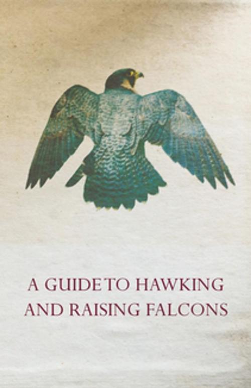 Cover of the book A Guide to Hawking and Raising Falcons - With Chapters on the Language of Hawking, Short Winged Hawks and Hunting with the Gyrfalcon by Anon, Read Books Ltd.