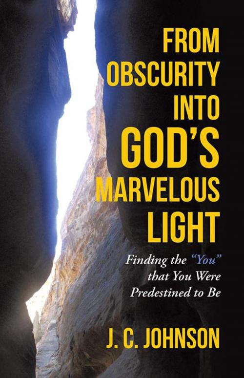 Cover of the book From Obscurity into God’S Marvelous Light by J. C. Johnson, Archway Publishing