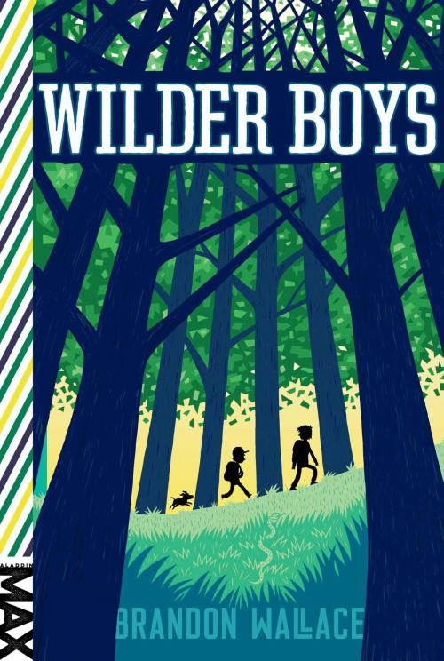 Cover of the book Wilder Boys by Brandon Wallace, Aladdin
