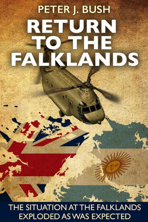 Cover of the book Return to the Falklands by Peter J. Bush, BookBaby