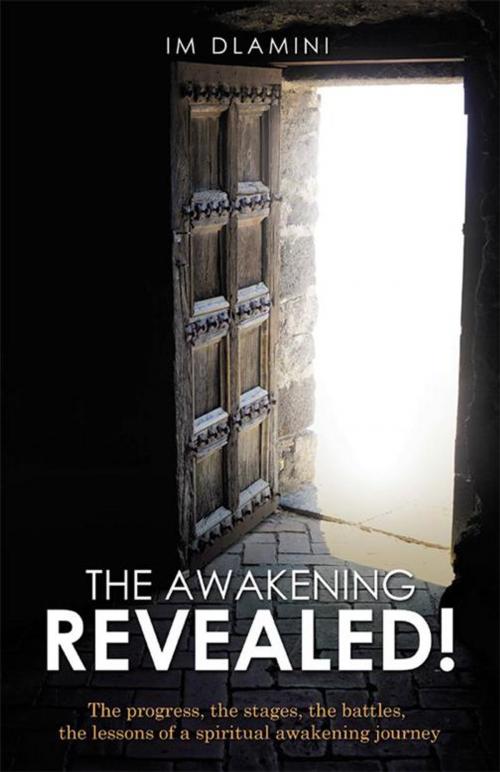 Cover of the book The Awakening Revealed! by IM Dlamini, WestBow Press