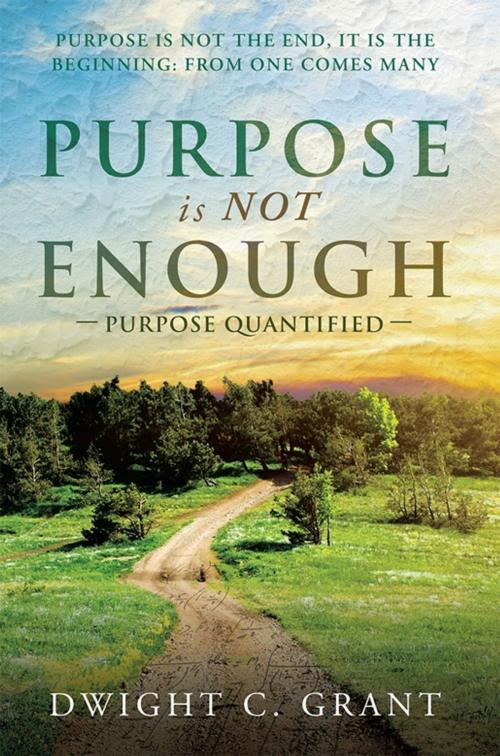 Cover of the book Purpose Is Not Enough by Dwight C. Grant, WestBow Press