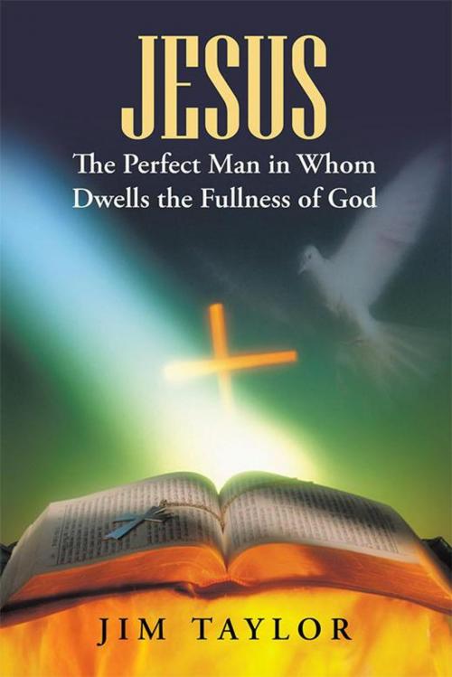Cover of the book Jesus the Perfect Man in Whom Dwells the Fullness of God by Jim Taylor, WestBow Press