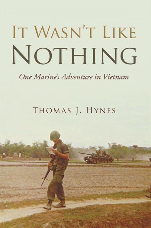 Cover of the book It Wasn’T Like Nothing by Thomas J. Hynes, iUniverse