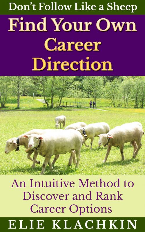 Cover of the book An Intuitive Method to Discover and Rank Career Options by Elie Klachkin, Elie Klachkin