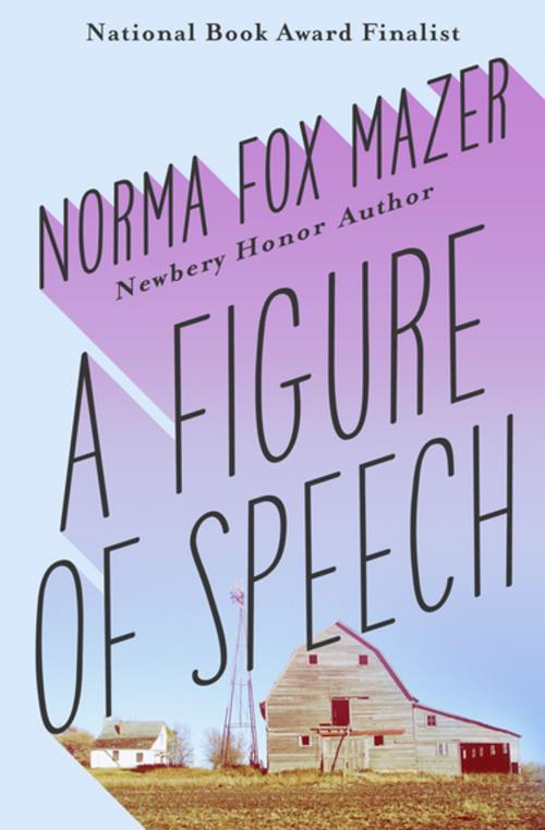 Cover of the book A Figure of Speech by Norma Fox Mazer, Open Road Media