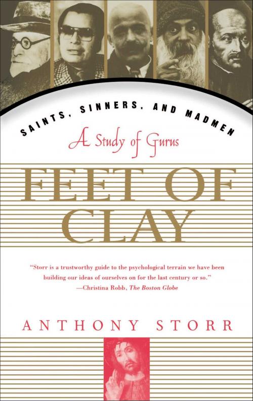 Cover of the book Feet Of Clay by Anthony Storr, Free Press