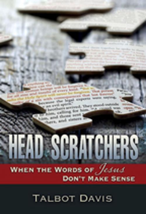 Cover of the book Head Scratchers by Talbot Davis, Abingdon Press