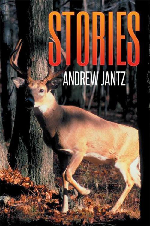 Cover of the book Stories by Andrew Jantz, Xlibris US