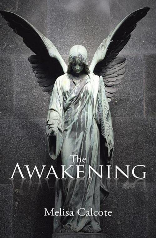 Cover of the book The Awakening by Melisa Calcote, Xlibris US