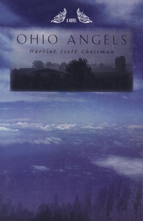 Cover of the book Ohio Angels by Harriet Scott Chessman, The Permanent Press (ORD)