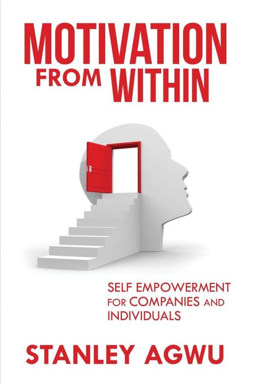 Cover of the book Motivation From Within by Stanley Agwu, Motivational Press