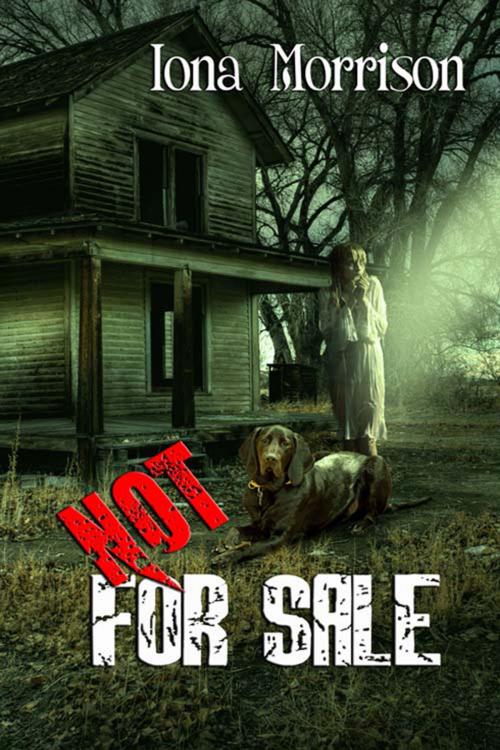 Cover of the book Not for Sale by Iona  Morrison, The Wild Rose Press, Inc.