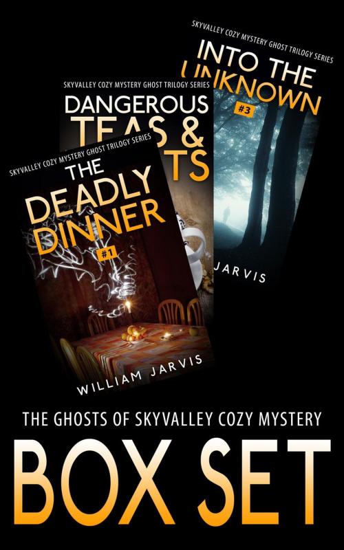 Cover of the book The Ghosts Of Sky Valley Cozy Mystery Box Set by William Jarvis, Yap Kee Chong