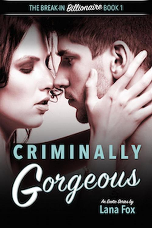 Cover of the book Criminally Gorgeous by Lana Fox, Go Deeper Press LLC