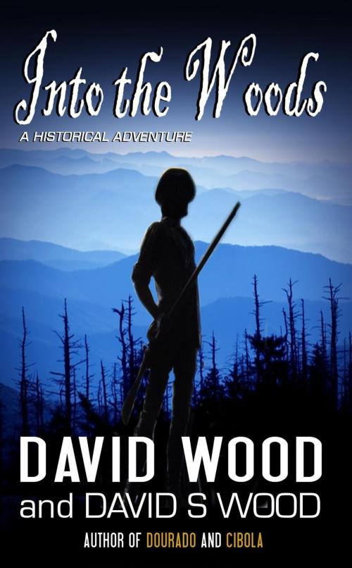 Cover of the book Into the Woods by David Wood, Gryphonwood Press