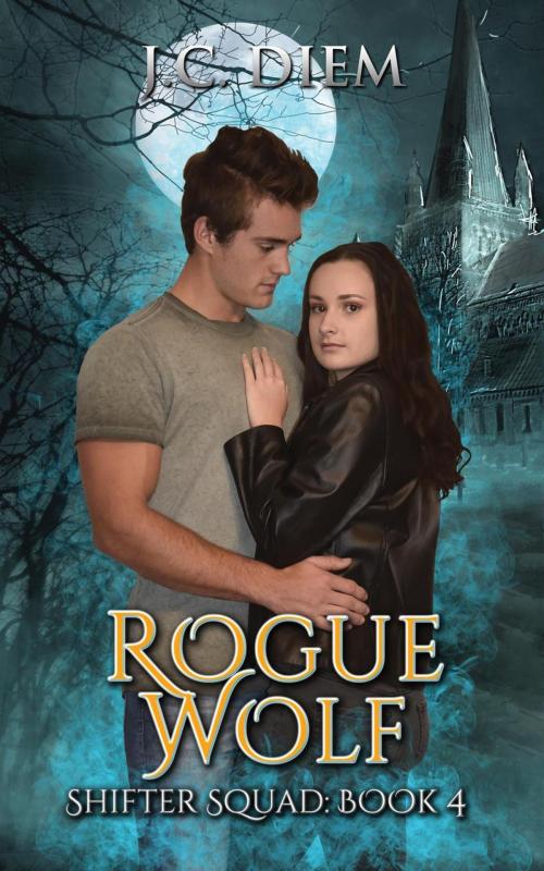 Cover of the book Rogue Wolf by J.C. Diem, Seize The Night Agency