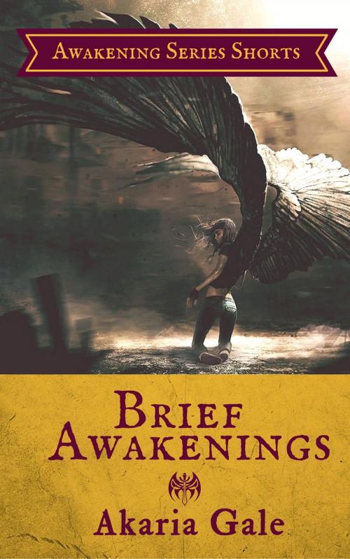 Cover of the book Brief Awakenings by Akaria Gale, Akaria Gale