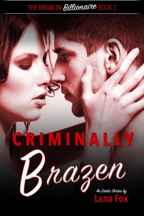 Cover of the book Criminally Brazen by Lana Fox, Go Deeper Press LLC