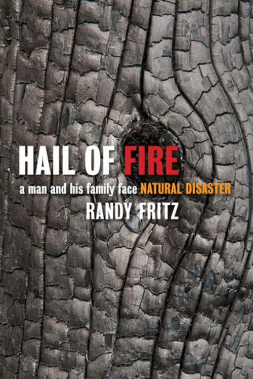 Cover of the book Hail of Fire by Randy Fritz, Trinity University Press