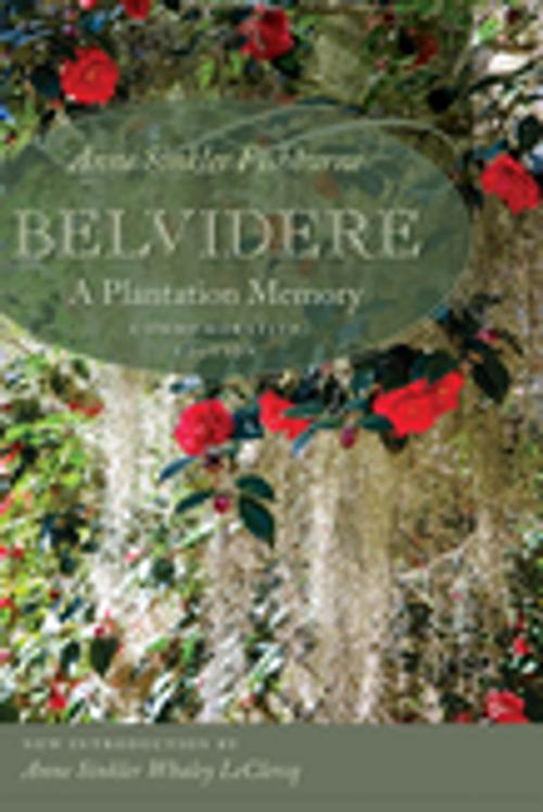 Cover of the book Belvidere by Anne Sinkler Fishburne, University of South Carolina Press