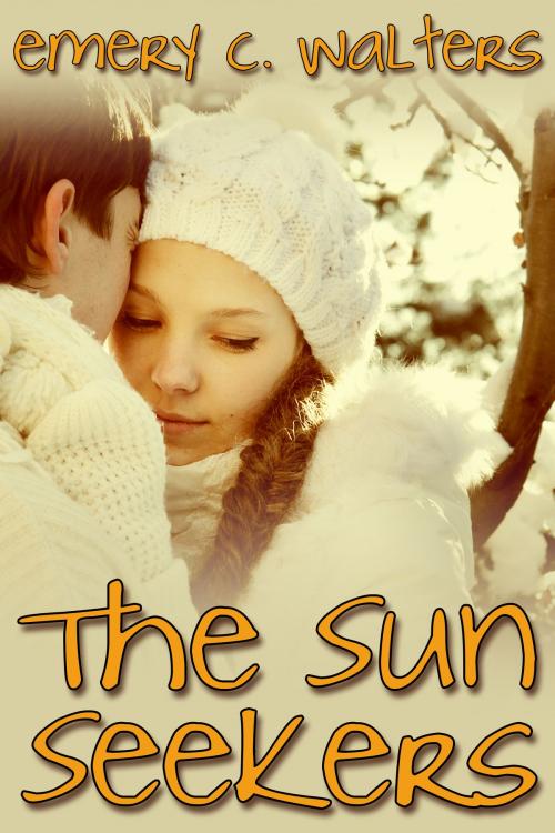 Cover of the book The Sun Seekers by Emery C. Walters, Queerteen Press