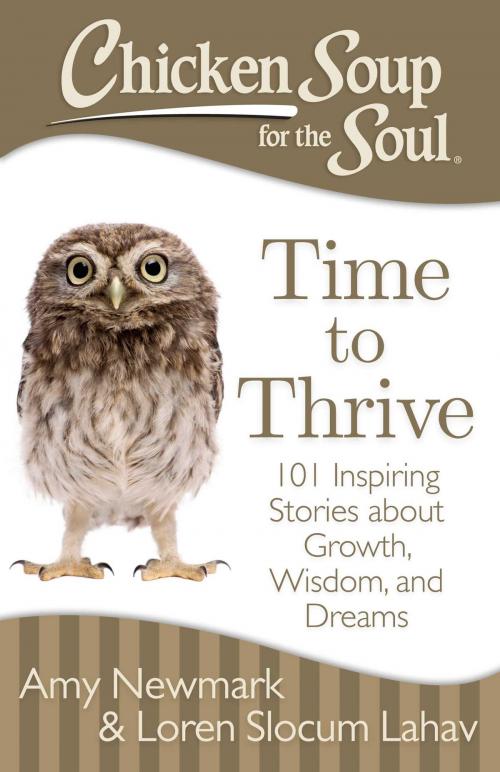 Cover of the book Chicken Soup for the Soul: Time to Thrive by Amy Newmark, Loren Slocum Lahav, Chicken Soup for the Soul