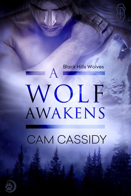 Cover of the book A Wolf Awakens by Cam Cassidy, Decadent Publishing Company