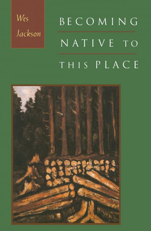 Cover of the book Becoming Native to This Place by Wes Jackson, Counterpoint Press