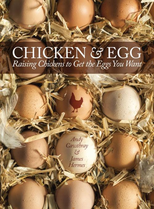 Cover of the book Chicken and Egg by Andy Cawthray, James Hermes, CompanionHouse Books
