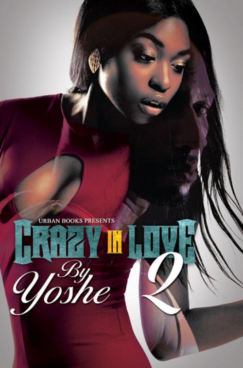 Cover of the book Crazy in Love 2 by Yoshe, Urban Books