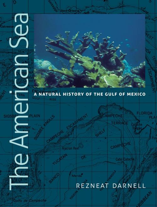 Cover of the book The American Sea by Rezneat Milton Darnell, Texas A&M University Press