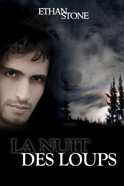 Cover of the book La nuit des loups by Ethan Stone, Dreamspinner Press