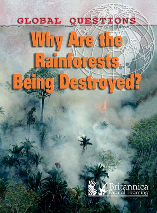 Cover of the book Why Are the Rain Forests Being Destroyed? by Peter Littlewood, Britannica Digital Learning