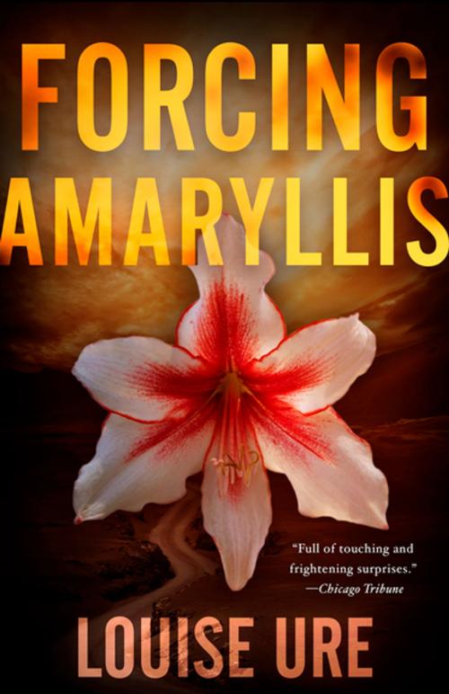 Cover of the book Forcing Amaryllis by Louise Ure, Diversion Books