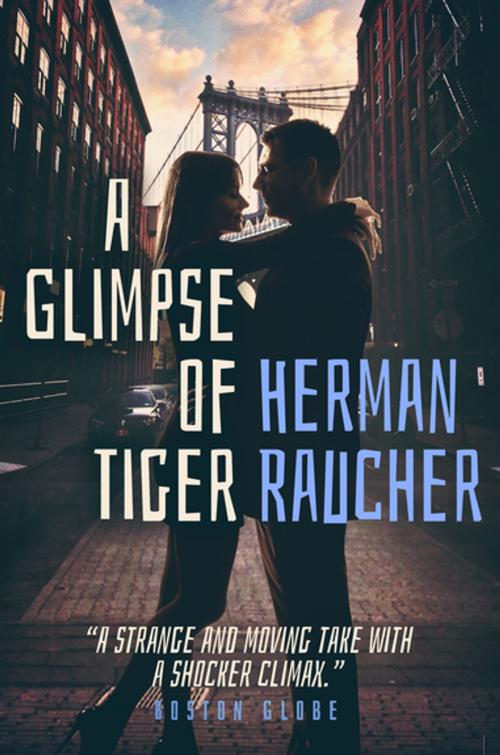 Cover of the book A Glimpse of Tiger by Herman Raucher, Diversion Books