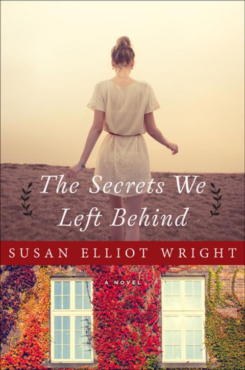 Cover of the book The Secrets We Left Behind by Susan Elliot Wright, Skyhorse Publishing