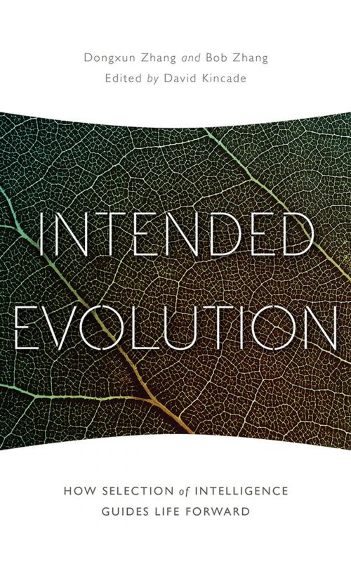 Cover of the book Intended Evolution by Dongxun Zhang, Bob Zhang, River Grove Books