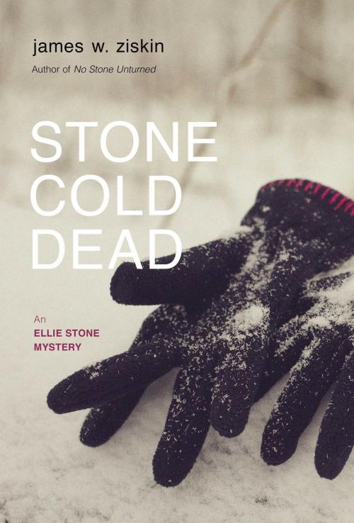Cover of the book Stone Cold Dead by James W. Ziskin, Seventh Street Books