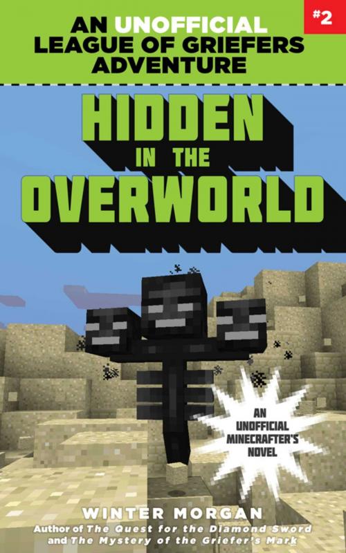 Cover of the book Hidden in the Overworld by Winter Morgan, Sky Pony