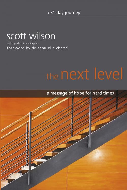 Cover of the book The Next Level by Scott Wilson, Salubris Resources