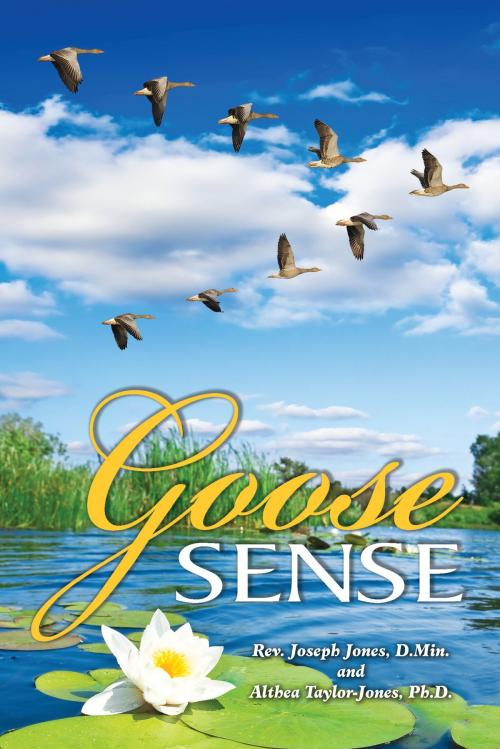 Cover of the book Goose Sense by Rev. Joseph Jones, R.H. Boyd Publishing Corporation