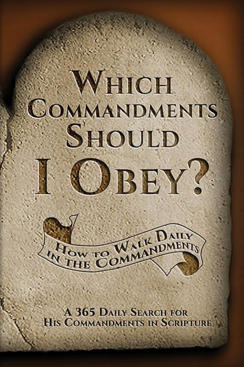 Cover of the book Which Commandments Should I Obey? by Debra Stuart Sanford, CCB Publishing